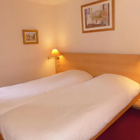 Logis Hotel Restaurant Auberge De L'Isard Saint-Lary-Soulan