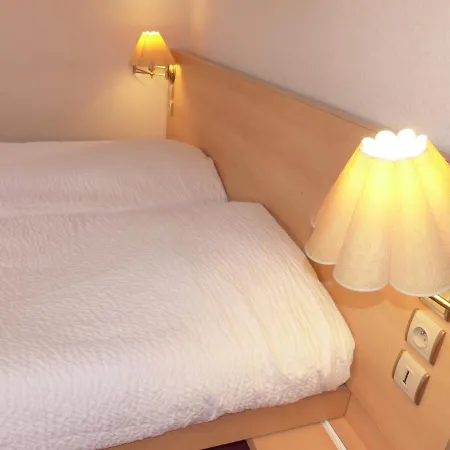 Logis Hotel Restaurant Auberge De L'Isard Hotel 3*