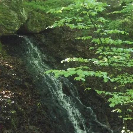 Logis De L'isard Saint-Lary (Ariege)
