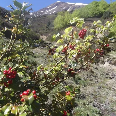 Logis De L'isard Hotel 3*